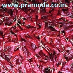 dried red chilli.jpg