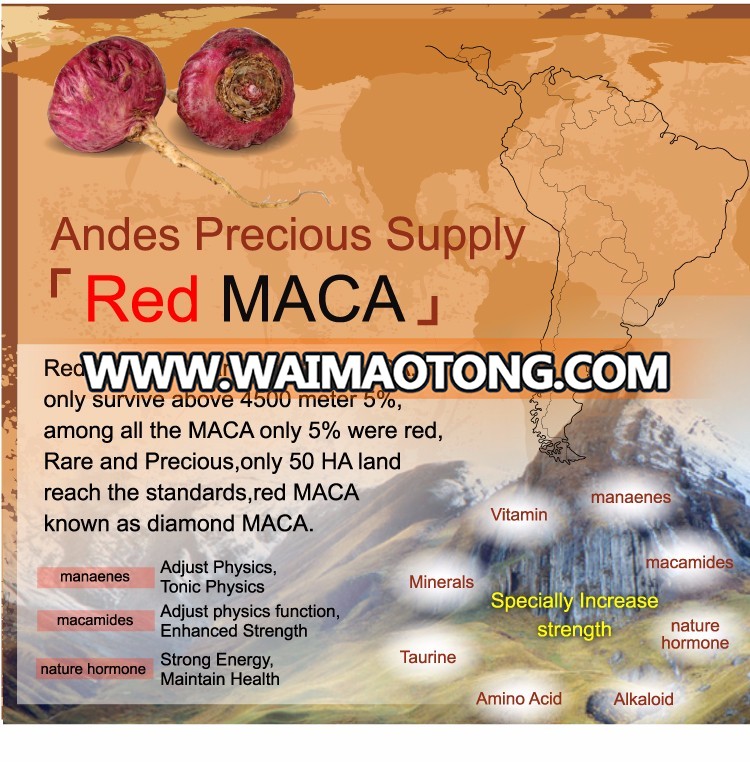 Iso Certificate Enhance Sex Ability Maca Root Powder For Man