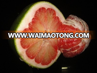 pomelo da xanh 01.jpg