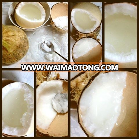 Wax coconut 4.jpg