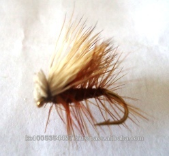 Elk hair caddis 4.JPG