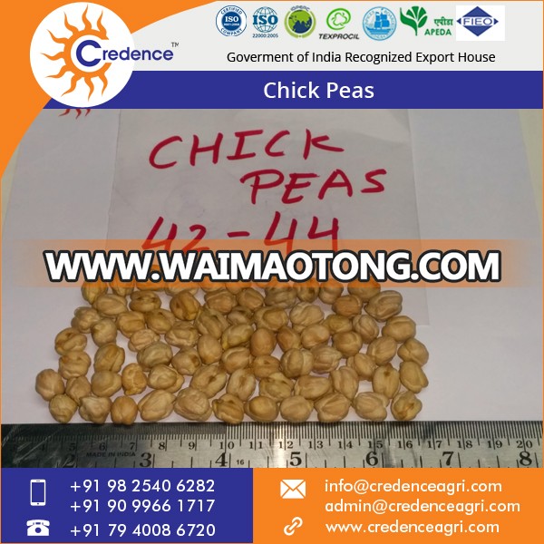 Chick Peas 1.jpg