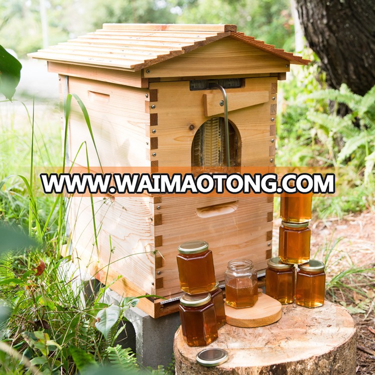 fir flow hive.jpg