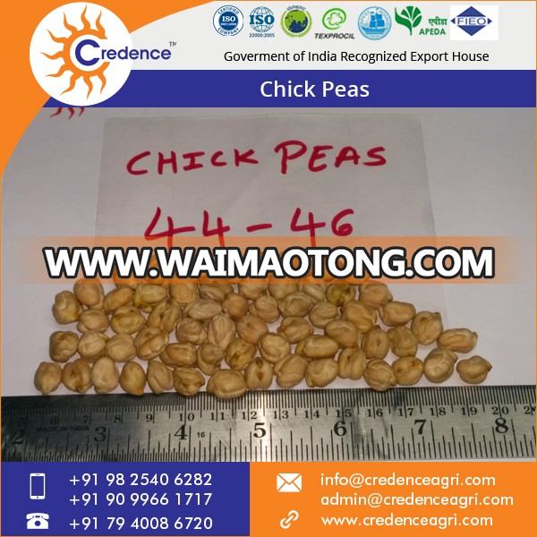 Chick Peas 2.jpg