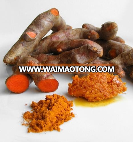 turmeric-root[1].jpg