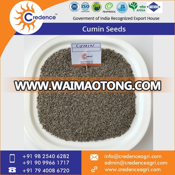 Cumin Seeds 5.jpg