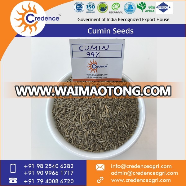 Cumin Seeds 1.jpg