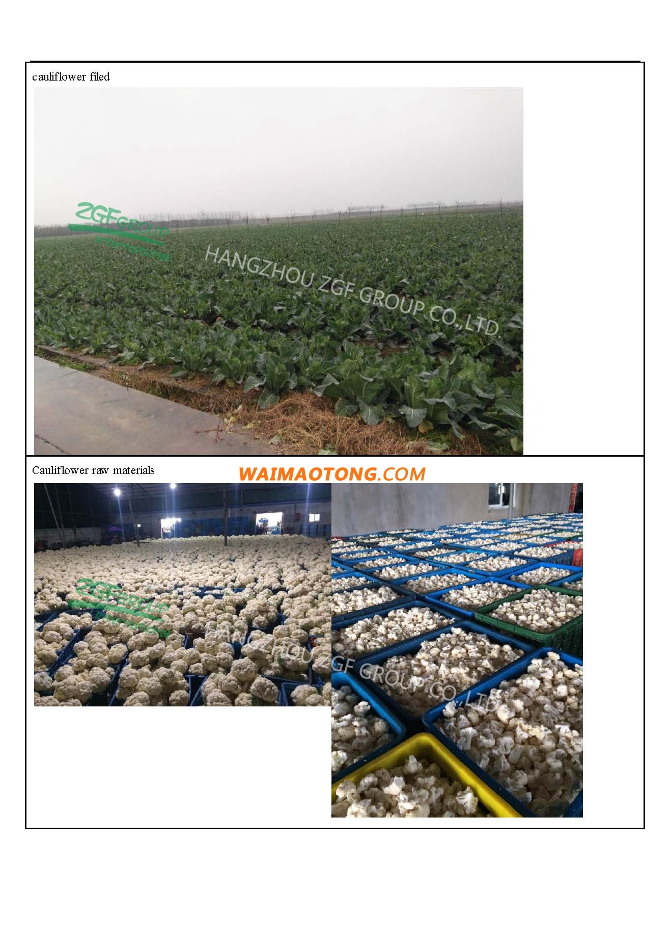 2016-2017 cauliflower and broccoli crop season investigation report_页面_3-1