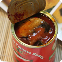 wholesale canned sardine in tomato sauce oil brine for africa