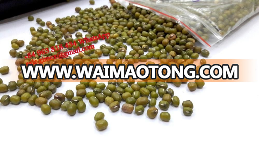 GREEN MUNG BEANS +84963818434 whatsapp