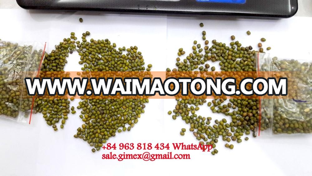 GREEN MUNG BEANS +84963818434 whatsapp