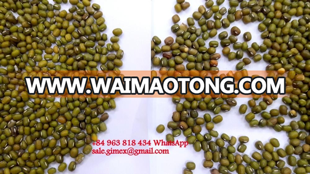 GREEN MUNG BEANS +84963818434 whatsapp