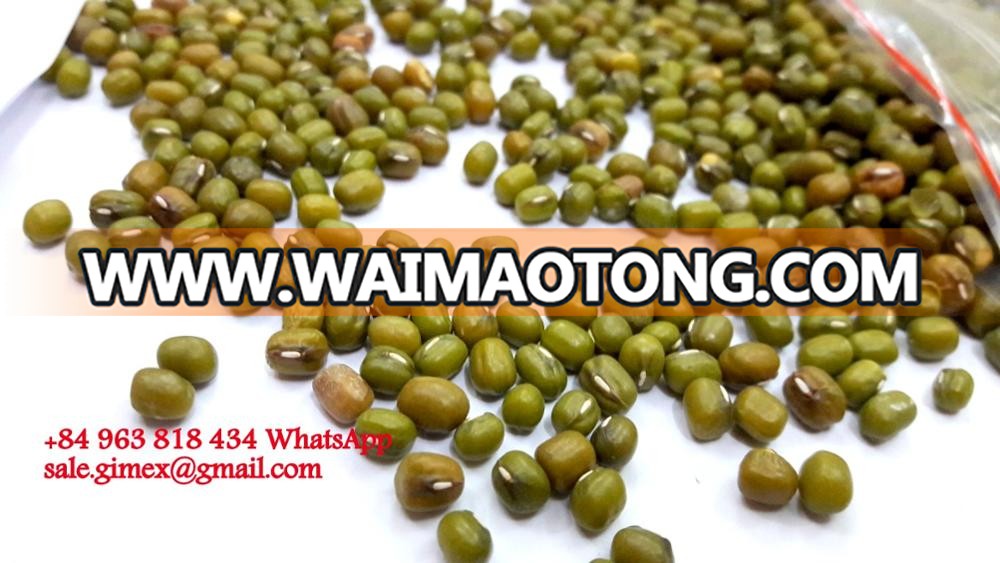 GREEN MUNG BEANS +84963818434 whatsapp