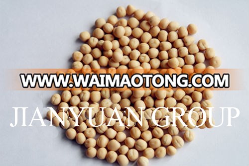 Food Grade Pea Starch