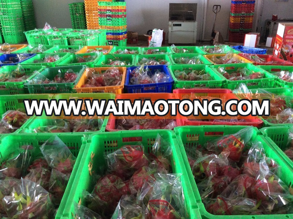 SUPPLY FRESH DRAGON FRUIT WITH PREMIUM QUALITY