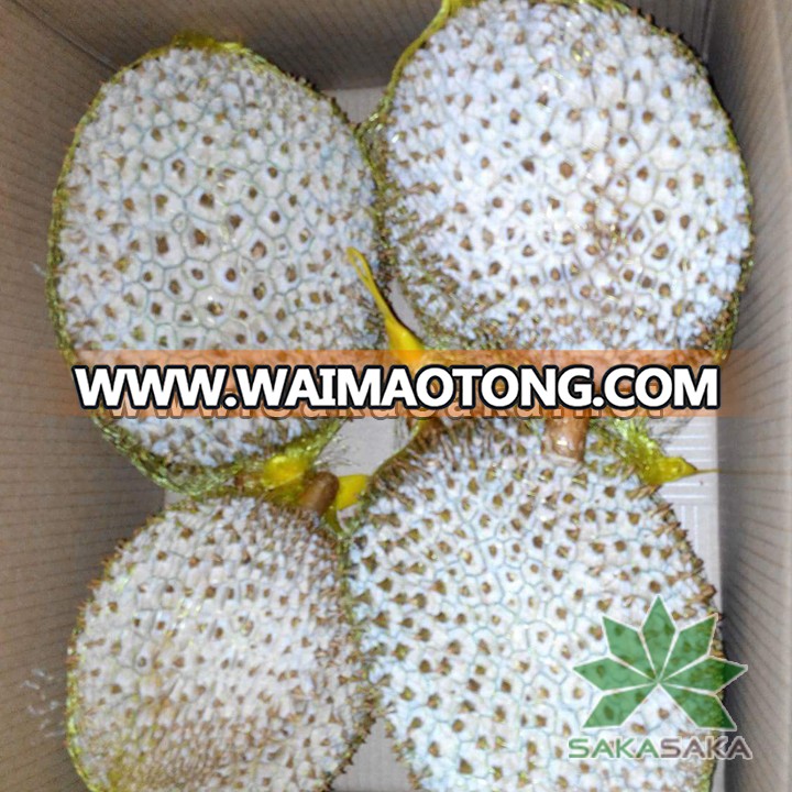 Frozen Monthong Durian with seed - high quality from Viet Nam