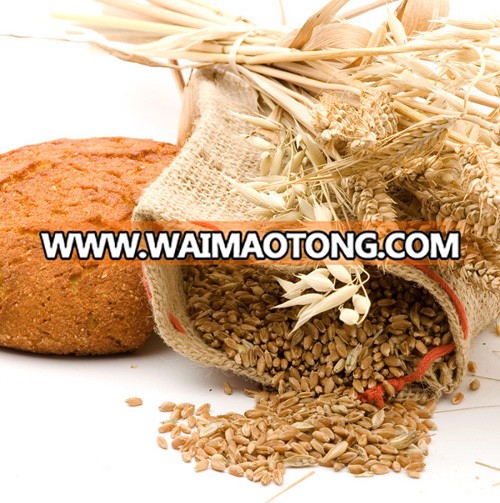 Vital Wheat Gluten price