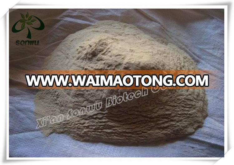 Food grade vital wheat gluten/wheat gluten