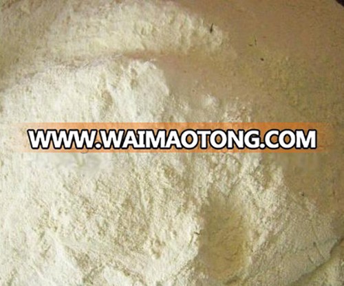 High quality food grade Vital Wheat Gluten