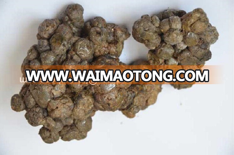 brazilian green bee propolis wholesaler