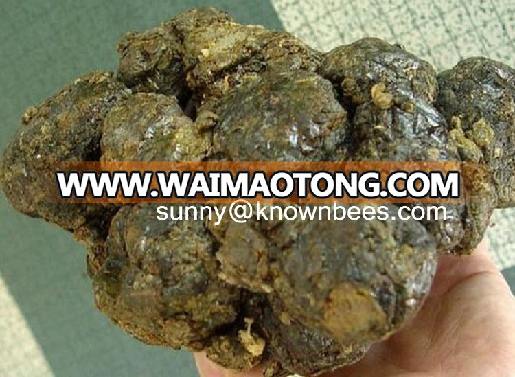 brazilian green bee propolis wholesaler