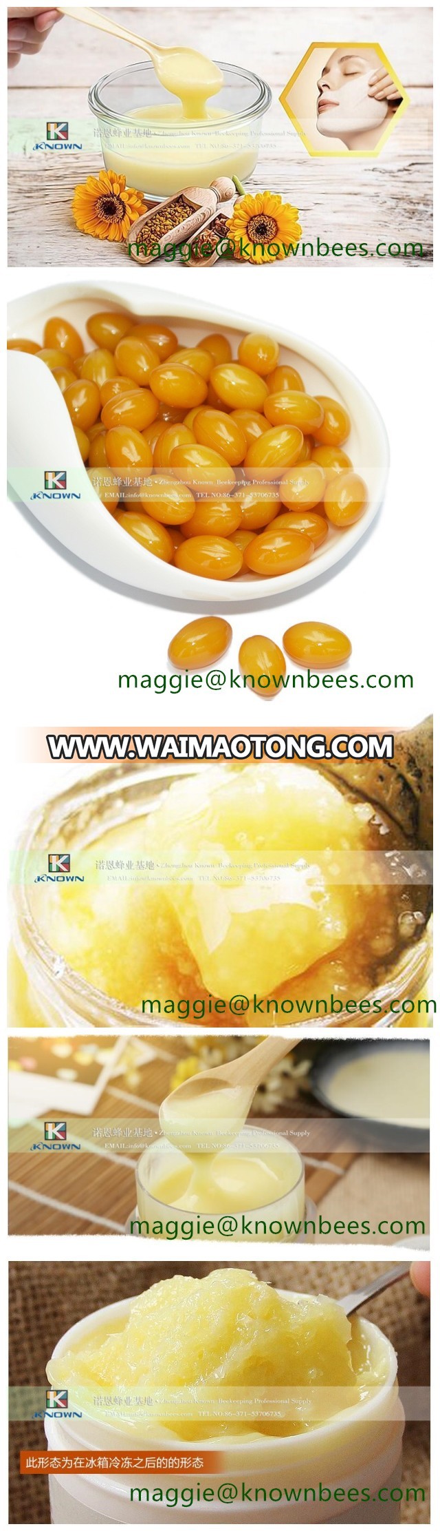 Pure Royal Jelly Price/Wholesale Fresh Royal Jelly