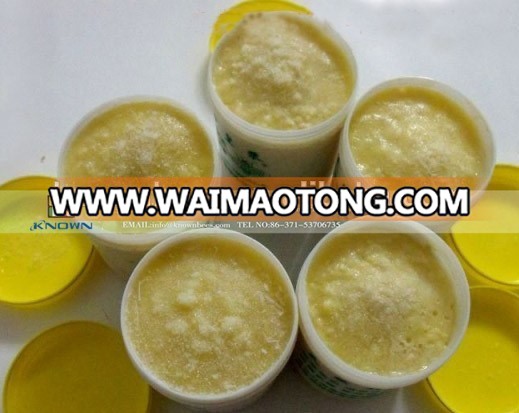 Pure Royal Jelly Price/Wholesale Fresh Royal Jelly