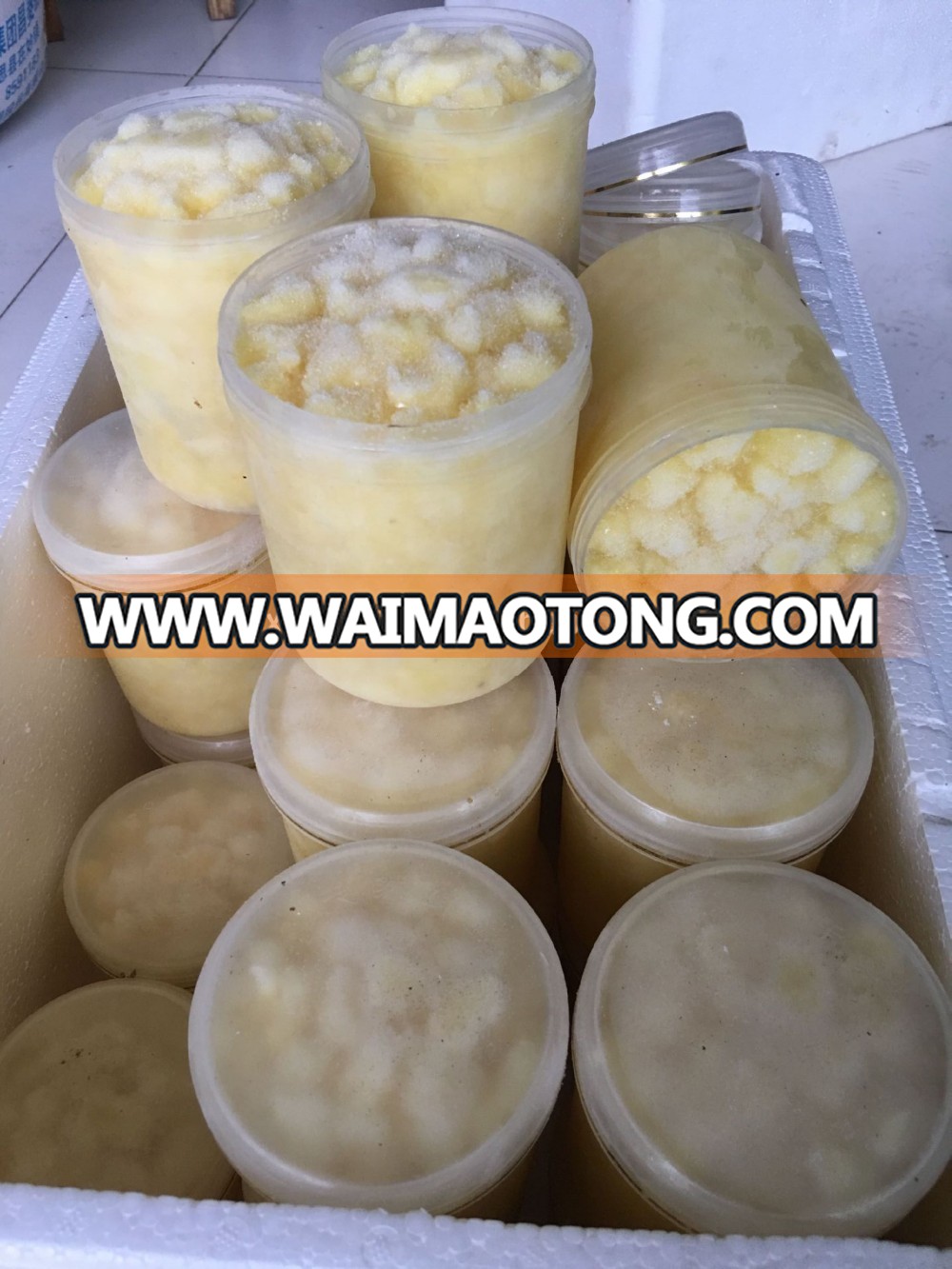 Best Quality / Natural Fresh Royal Jelly