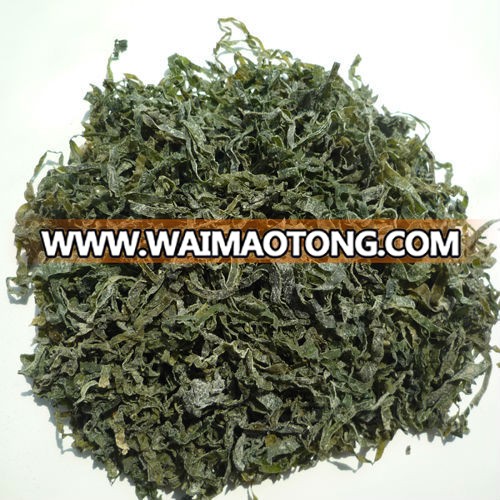 2017 New crop of Dried cut kelp, shredded seaweed laminaria japonica