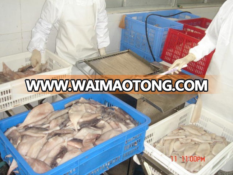 China wholesale products frozen squid price for sale