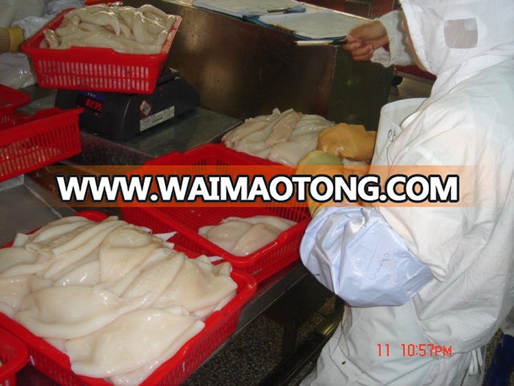 China wholesale products frozen squid price for sale