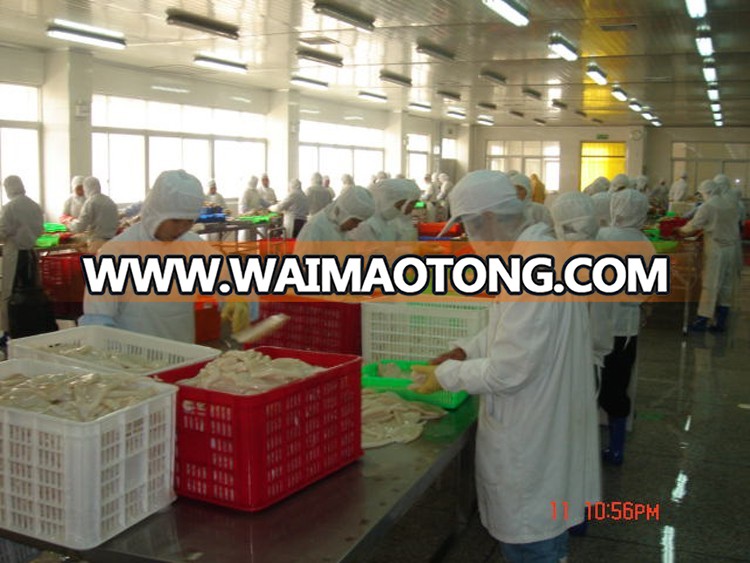 China wholesale products frozen squid price for sale