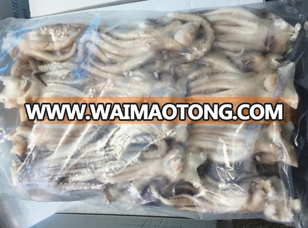 Frozen Illex Squid Tentacle and Squid Head for Sale