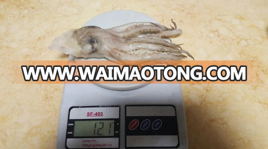 Frozen Illex Squid Tentacle and Squid Head for Sale