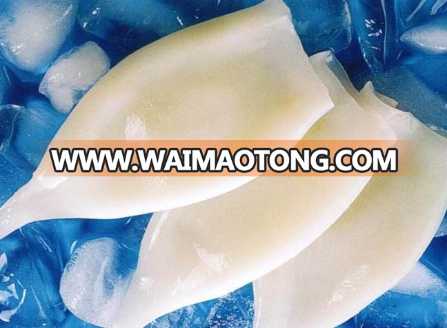 Frozen giant squid fillet