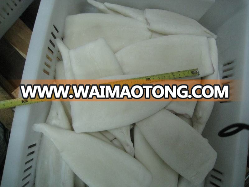 Frozen giant squid fillet