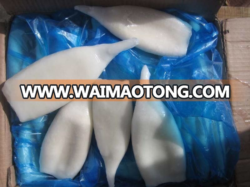 Frozen giant squid fillet