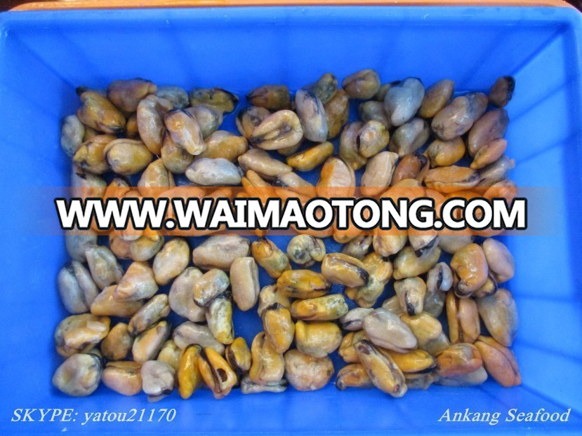 seafood frozen mussel products