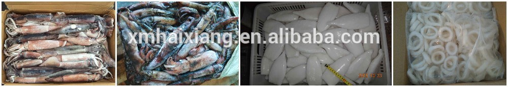 Bulk seasoned dried squid for sale