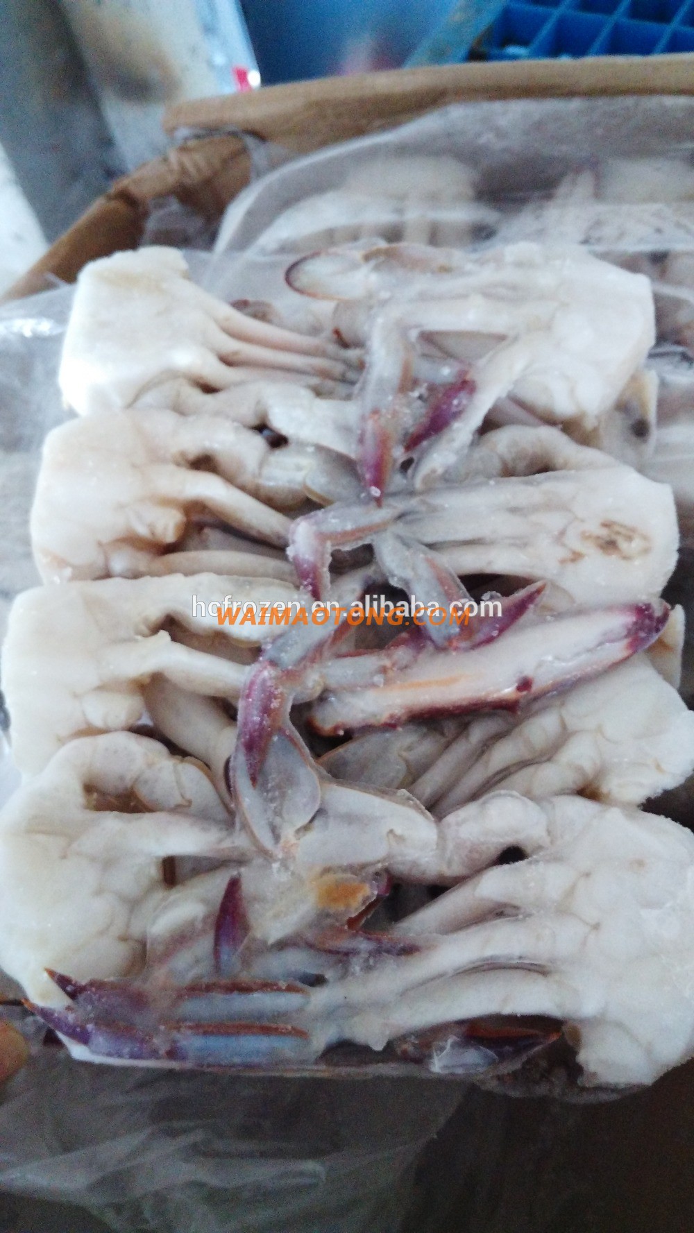 FROZEN BLUE SWIMMING CRAB