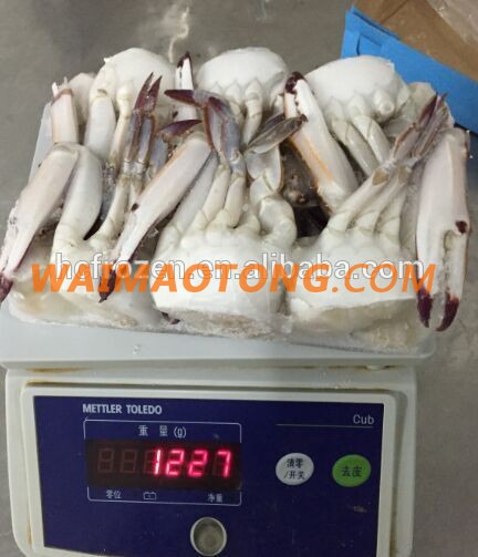 FROZEN BLUE SWIMMING CRAB