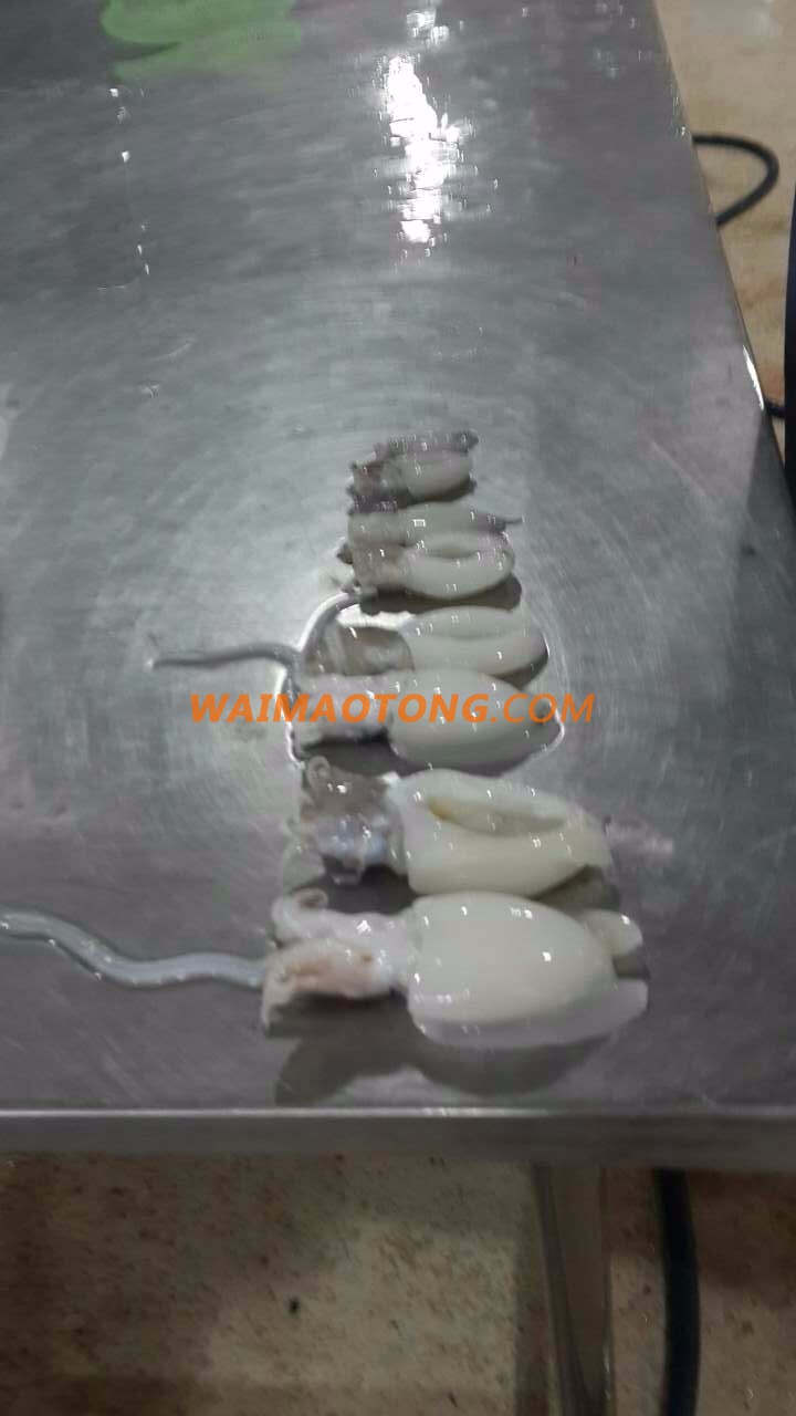 CUTTLEFISH WHOLE ROUND HOT PRICE