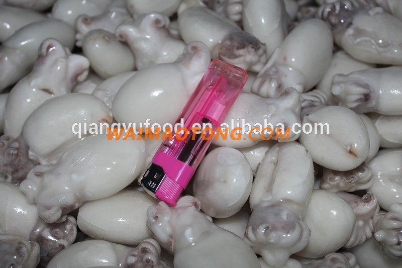 ISO,QS Certification and Frozen Style baby cuttlefish whole cleaned