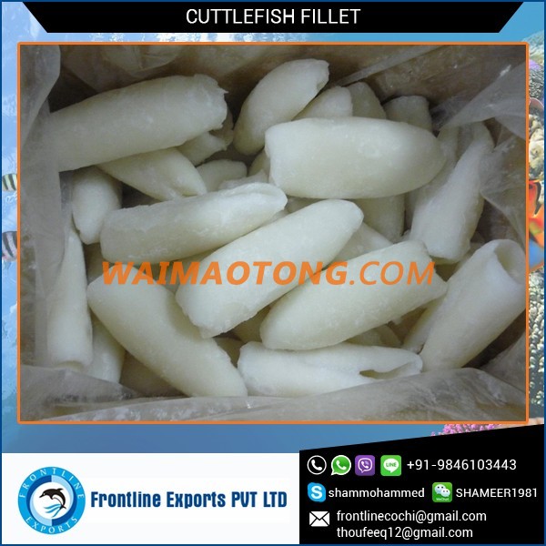 Best Quality Frozen Cuttlefish Rolled Fillet