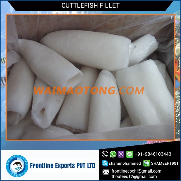 Best Quality Frozen Cuttlefish Rolled Fillet