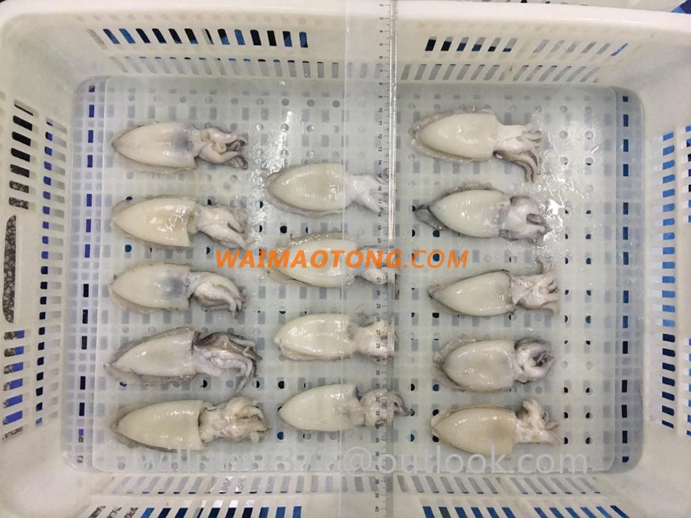 High Quality Whole Round Cleaned Cuttlefish