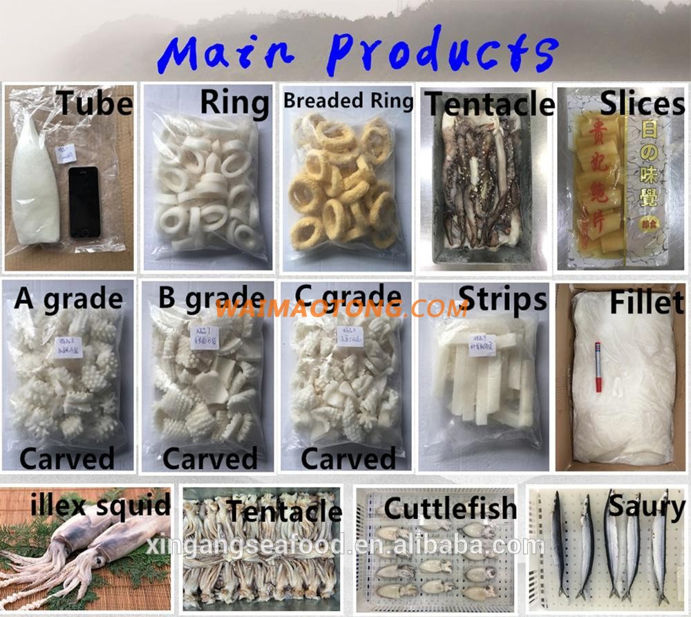 High Quality Whole Round Cleaned Cuttlefish