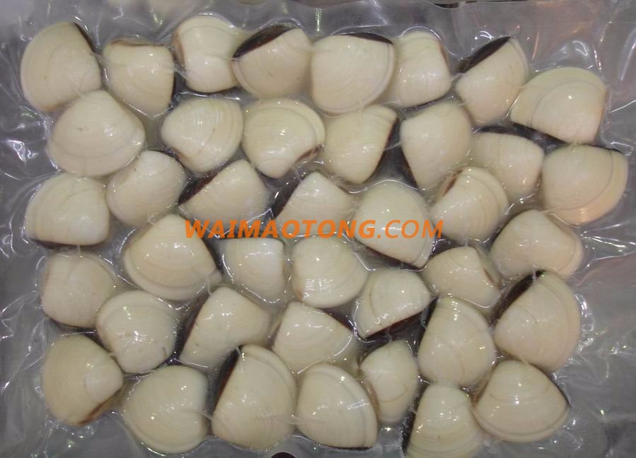 WALA SEAFOOD HOT SELL PRODUCT FROZEN COOKED BULK WHOLE WHITE CLAM