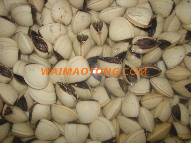 WALA SEAFOOD HOT SELL PRODUCT FROZEN COOKED BULK WHOLE WHITE CLAM