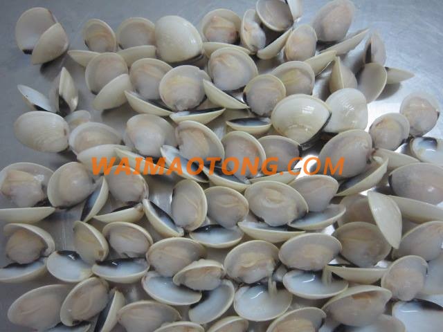 WALA SEAFOOD HOT SELL PRODUCT FROZEN COOKED BULK WHOLE WHITE CLAM